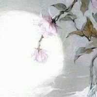 有两条一样长的婚姻线 纹路清晰一样长感情稳定