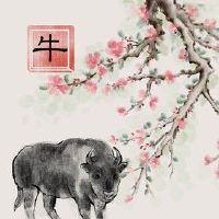 属牛人2022年的财运方向 开运方位为东北方