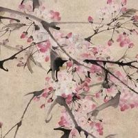 两个属虎的人结婚婚姻怎样 亲密无间的一对