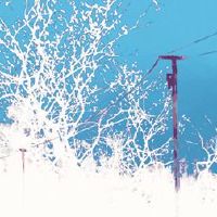 2022年，最新的畜性词汇很好。