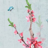 自己适合佩戴什么水晶 水晶有旺财生水的作用