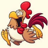 2022年41岁的十二生肖财富是什么？