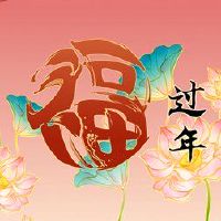 中亮是什么意思