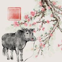 2023年,一头牛是整整的财富。