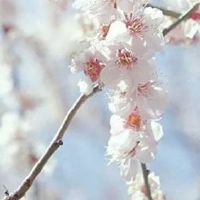 2022年几月虎最苦命 七月虎病情影响发展