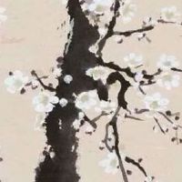 日用品店取什么名字好 简单大气的店铺起名