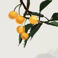 免费测命运和财运婚姻事业 算命有哪些方法