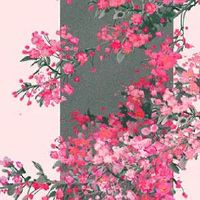 1980年属猴人终身运程 瑞气临门贵人吉星普照