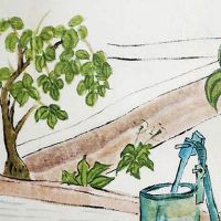 感情线杂乱注定婚姻不好吗 感情线乱心思细腻