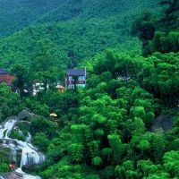 紫色梅明星看起来另一半吗？