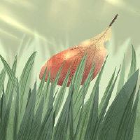 夏季和春天“避免饮食不变”，夏季，夏季，酷炫