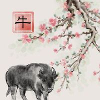 2023 Zodiao牛压花颜色穿着颜色衣服会被打破