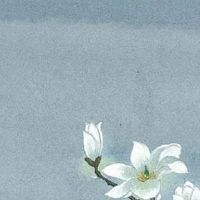 80年属猴二次婚姻在几岁 生肖猴配对满分对象