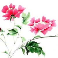 男生转运珠用红绳还是黑绳好 男生转运珠用黑绳运势好