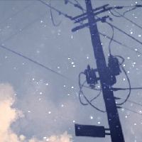 什么是最丰富的？