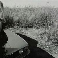 12个星座如何欺骗无知