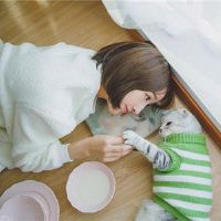 在12个星座宠物之后取得了什么变化