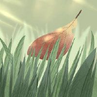 2022人更加关注夏天