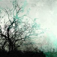 农历的生日生活非常幸福