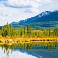 纳克顿五个元素经常住在水中吗?