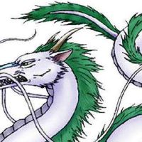 2000年，龙达2022财年22岁小龙女2022月