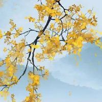 属猴1980后半生命运如何 人缘旺盛兴隆之命