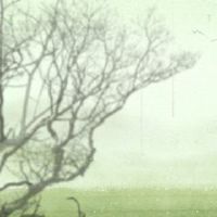 2022山谷雨,什么是好的,什么是好的,这一天是吃香