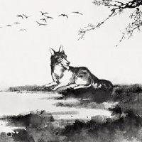 属狗人2022年5月招财方位 缓解压力热情饱满