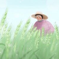 在2022年，您可以获得证书。本赛季的传统习俗是什么？