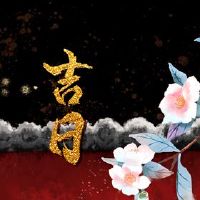 是2022年4月19日的星座吗？