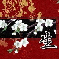 每日财富11月18日,2022年,十二生肖动机和TE。