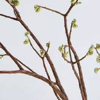 2022年4月出生的宝宝是什么命 前途光明的富贵命