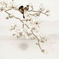 赌运和财运有关系吗 赌运差的人会有财运吗