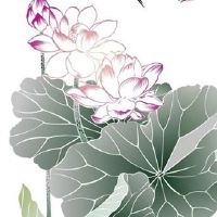 本命年运气会很差吗 红玉石化解本命年运气差