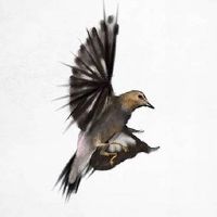 流年冲夫妻宫会分手吗 流年合配偶宫有婚外情