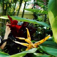 Aisha公主周星座财富(3.14-3.20)