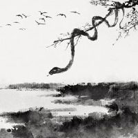 2022年3月,三大十二生肖财富财富财富,丰富的业务