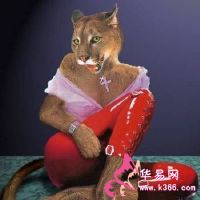 梦想爱情野兽爱家禽