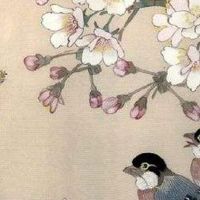 车牌号带两个4的好不好 数字44的吉利说法