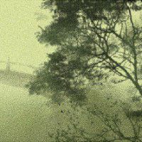 伤害受伤官员伤害的人