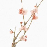 2022年哪个月出生的虎宝宝好 10月出生财运佳