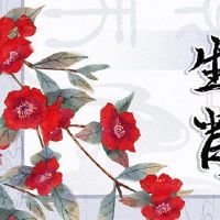 这是2022年最好的生肖?当他不是一只狗