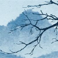 为什么男孩不能没有孩子的生命查询方法？