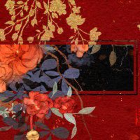 单身生肖桃花运排名2022 贵人帮助吉星红鸾相助