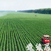 好听的农业公司名称大全