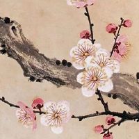 热门医院起名字大全免费 出众的好名字大全