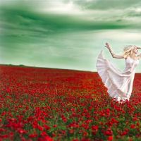 在包裹之前，叔叔的星座