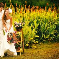 幸福是爆炸性的，试着和这些明星谈谈