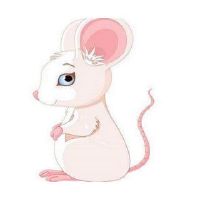 鼠标2020的五行是什么？