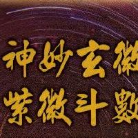 紫薇排盘生年化权入十二宫